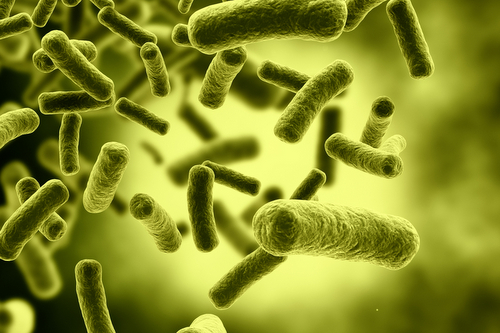 Микробы научились спасаться от антибиотиков