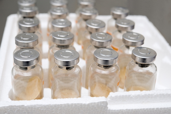 Более 130 тыс доз вакцины доставлено для жителей подтопленных регионов