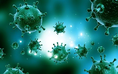 Российские специалисты приступили к изучению штамма гриппа H7N9