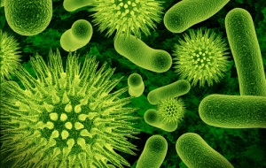 Ученые Израиля создали бактерицидную ткань