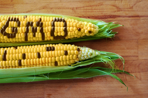 Сенаторы РФ предлагают запретить ГМО