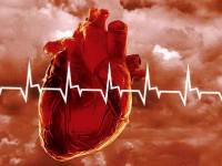 Смертность от инфаркта миокарда в России снизилась в 2 раза за 10 лет